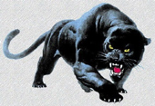 pallion panther football club